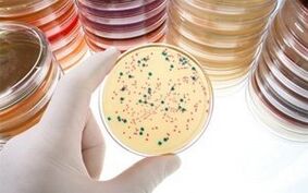 Parasitic disease diagnosis