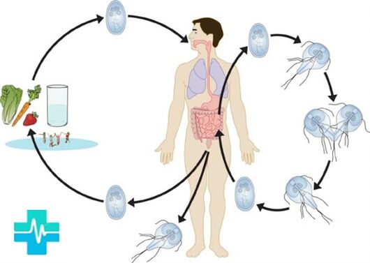 How a person can infect